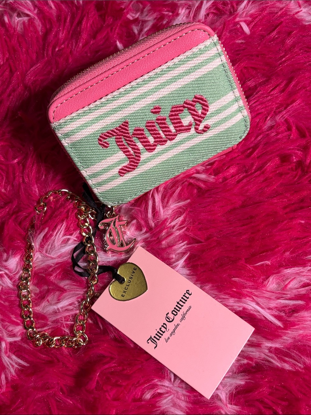 Juicy Couture Pink & Mint Striped wallet & card Holder with Gold Chain NWT